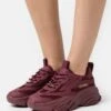Steve Madden Possession - Sneakers Laag - Wine -Modekledingwinkel 3ac886a49b484a90aa18de87e4660c30